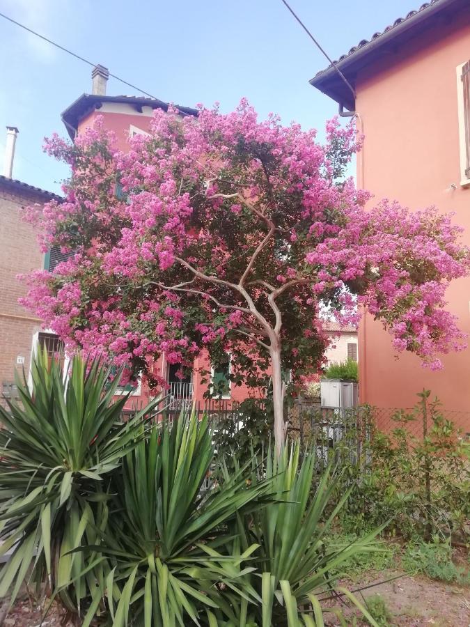 Grigio Perla Panigale, Villetta Con Giardino E Parcheggio Privato Fino A Tre Posti Auto - Un Oasi Di Tranqullita Bologna Kültér fotó